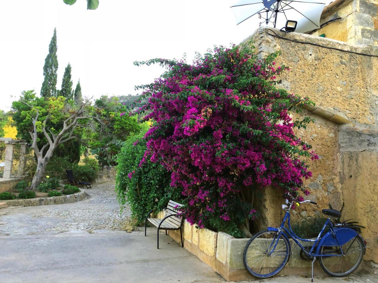 Finca Canfirella Portocolom 펠라니트스 외부 사진